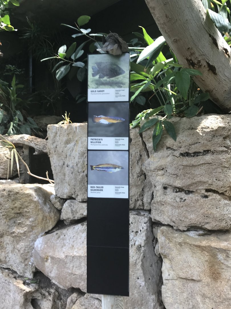 Madagascar Fish Signage