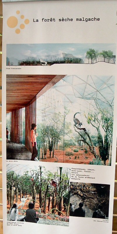 Madagascar forest plan paris