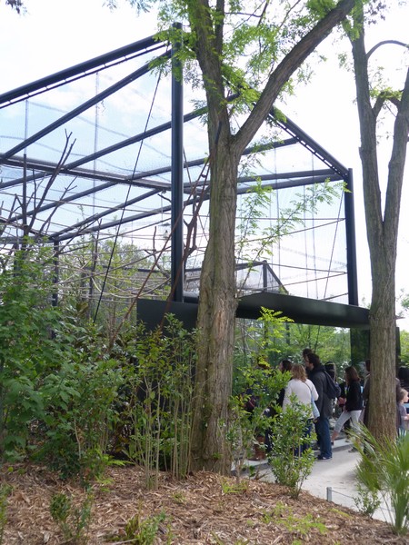 Madagascar: Fruit bat outdoor enclosure