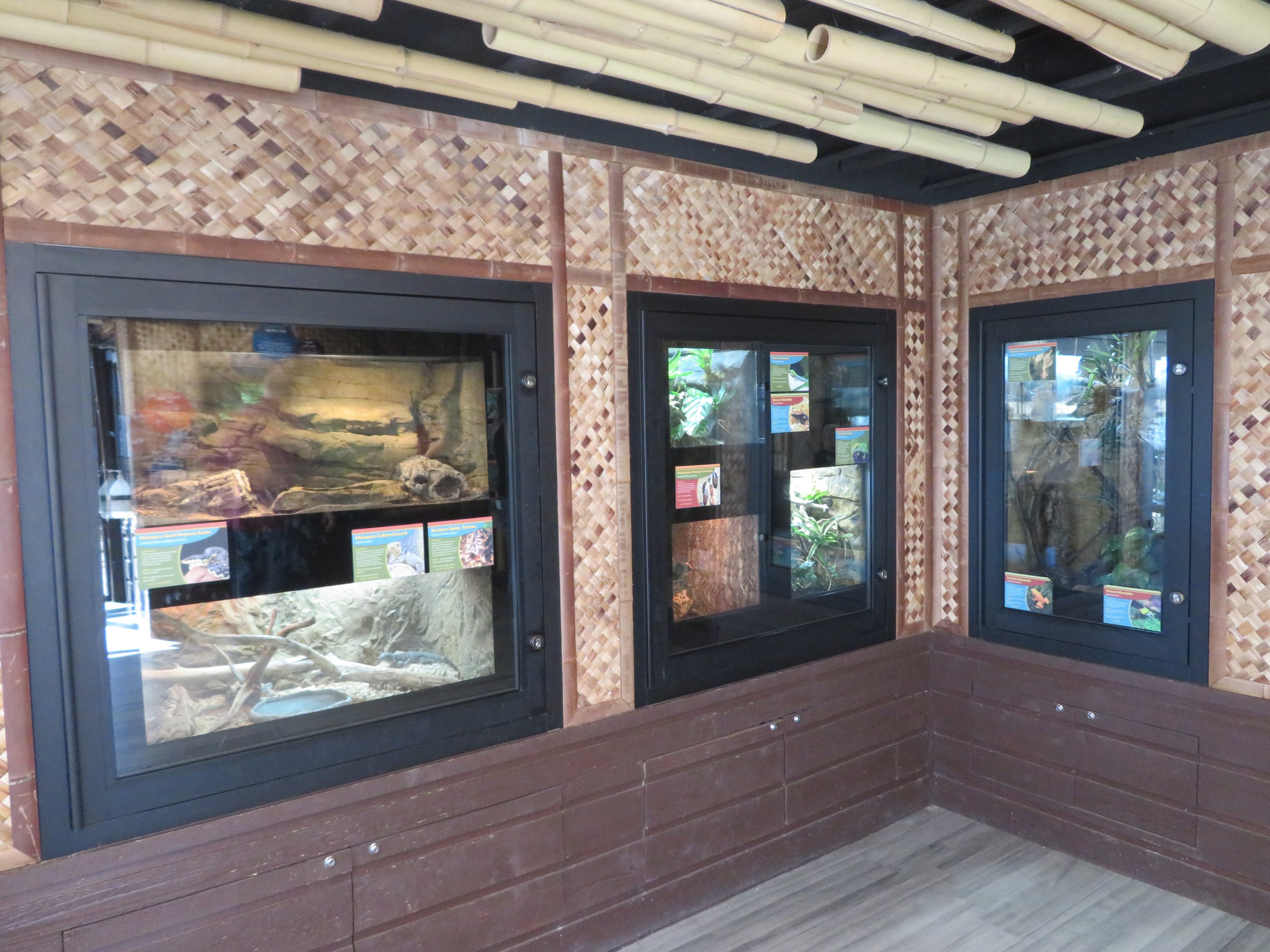 Madagascar Herp Exhibits