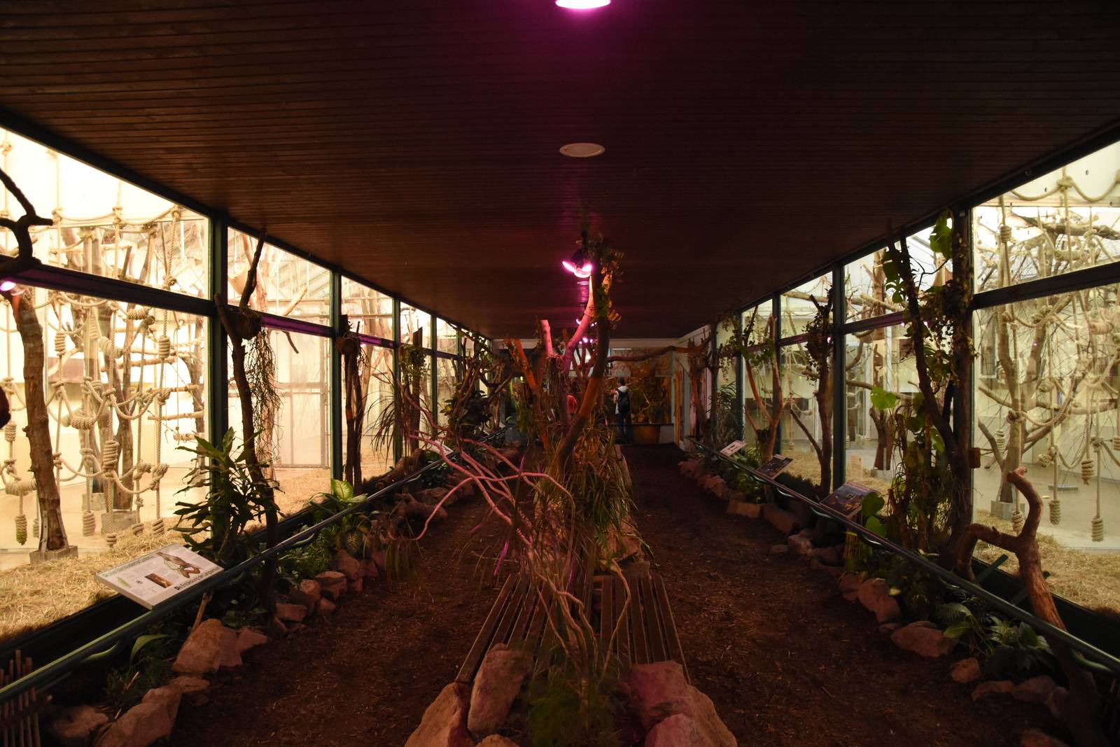 Madagascar house - overview