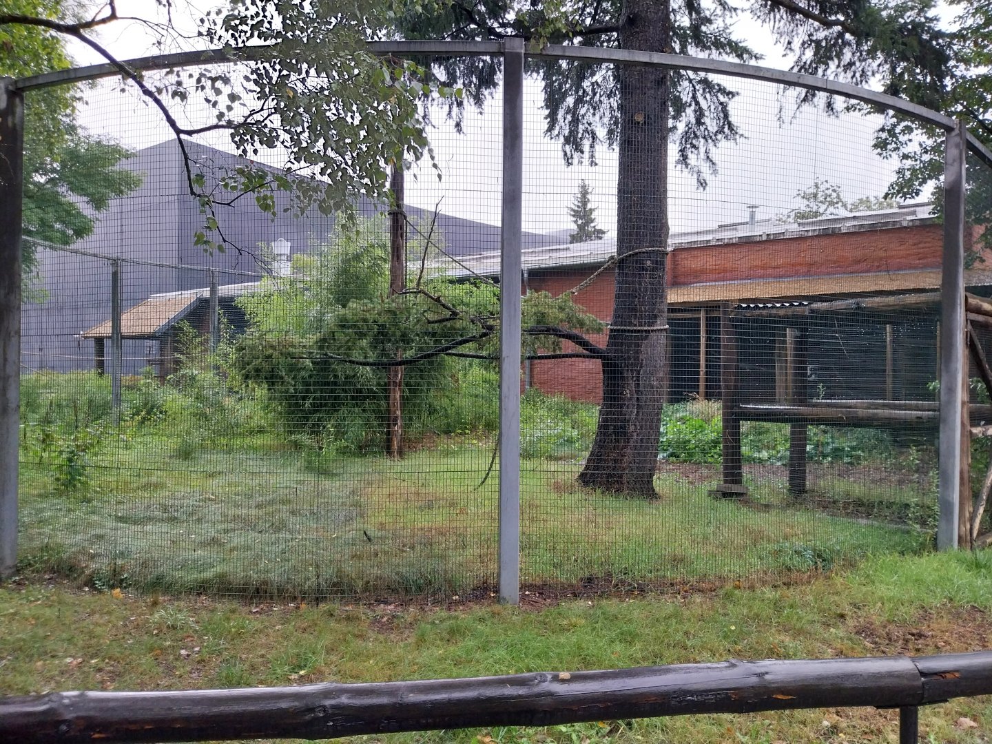 Madagascar House - Red ruffed lemur enclosure
