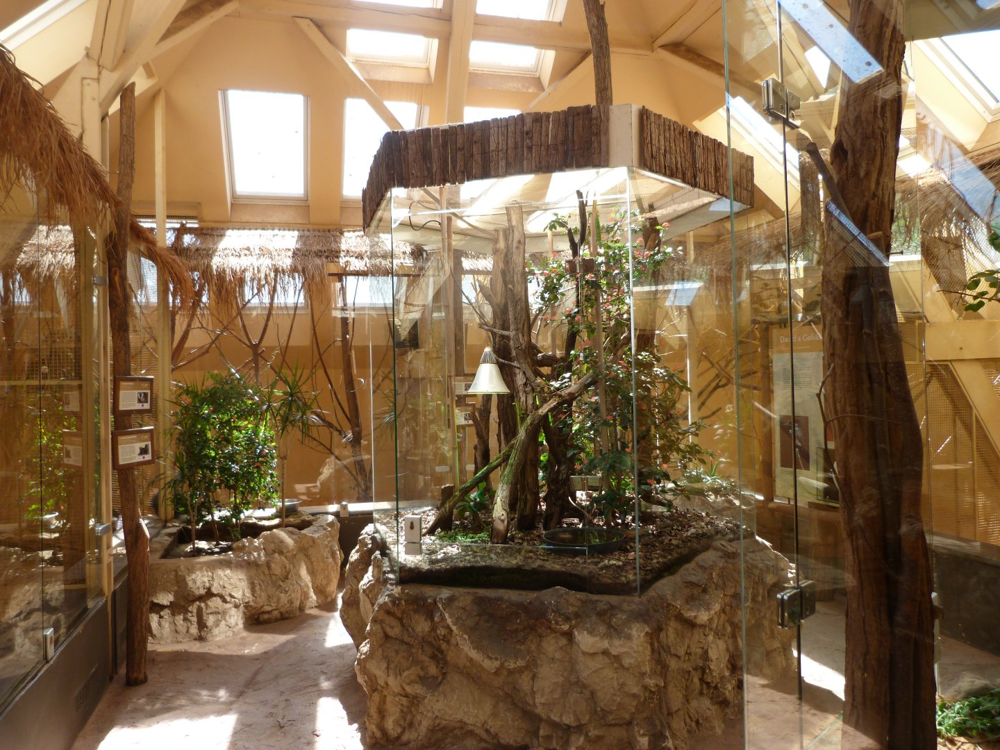 Madagascar house view -Zoo Plzeň (2025)