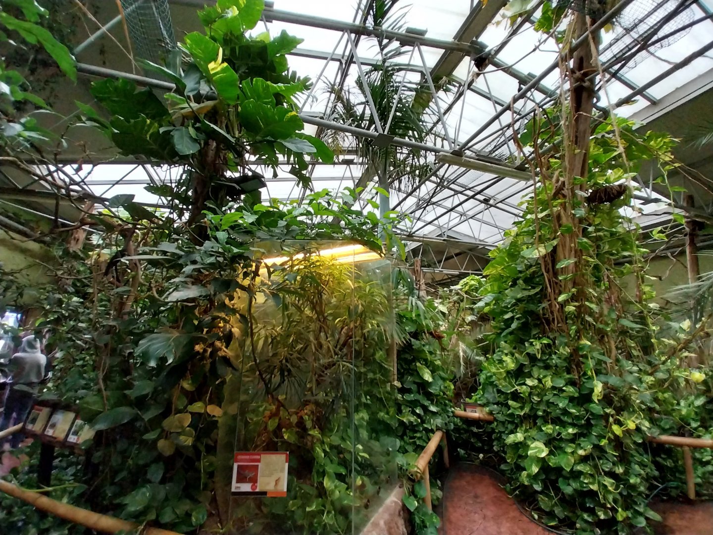 Madagascar House - Walk-through