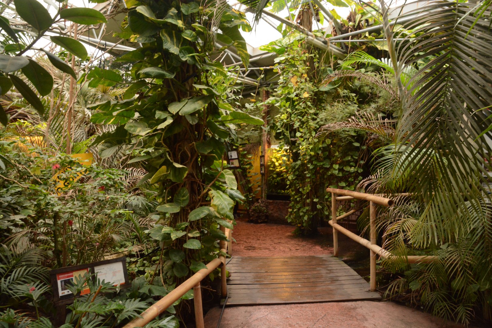 Madagascar house - walkthrough