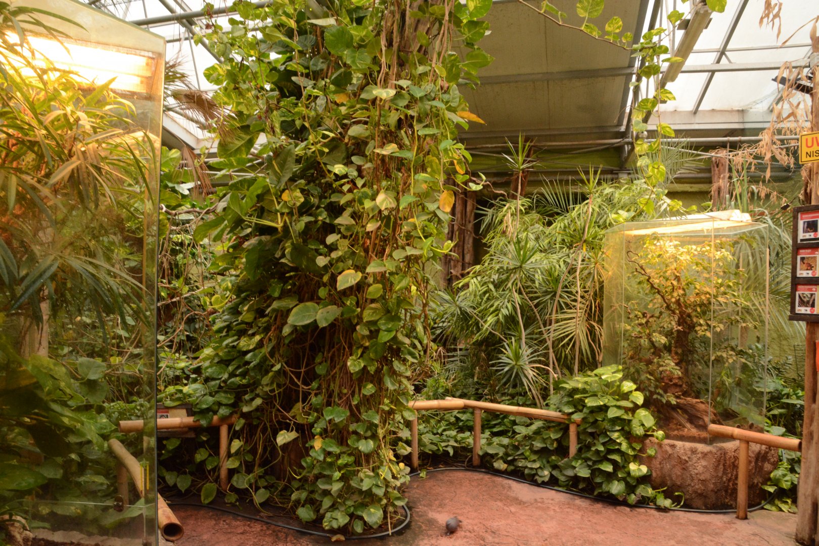 Madagascar house - walkthrough