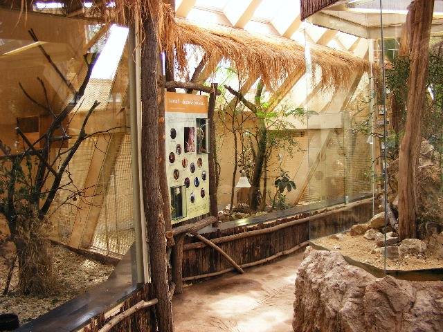 Madagascar House