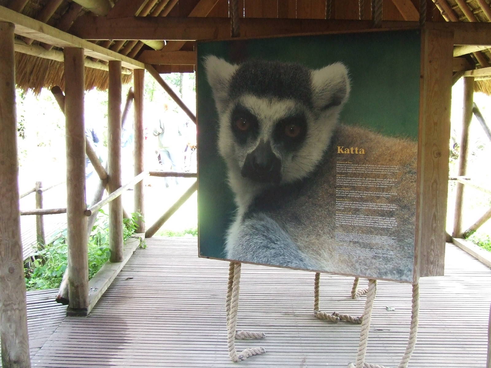 Madagascar Houses with educational boards