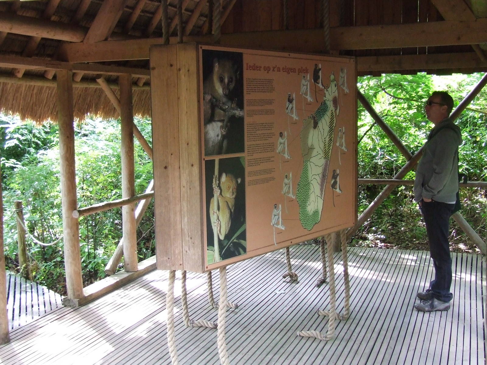 Madagascar Houses with educational boards