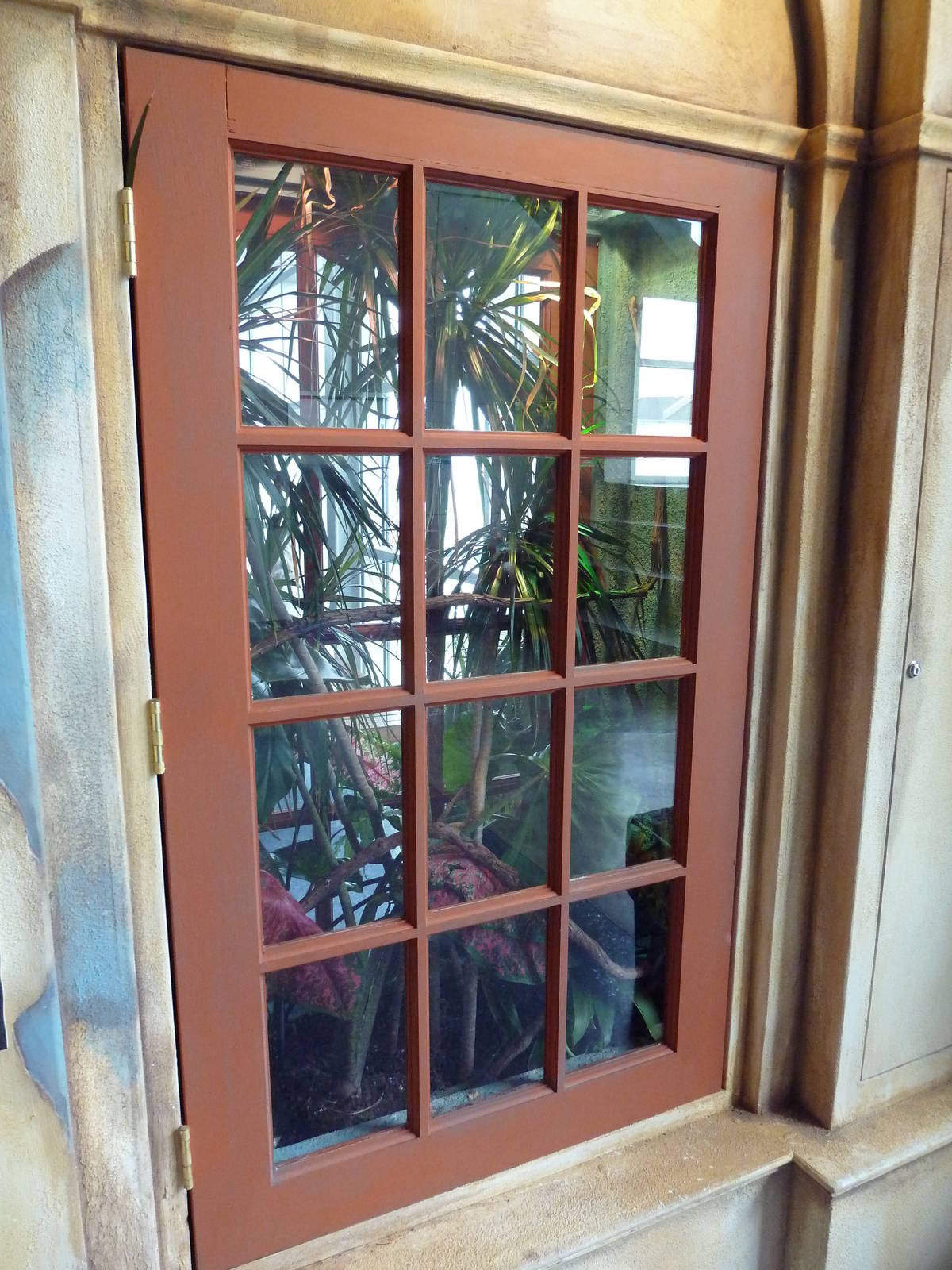 Madagascar Journey - Panther Chameleon Exhibit