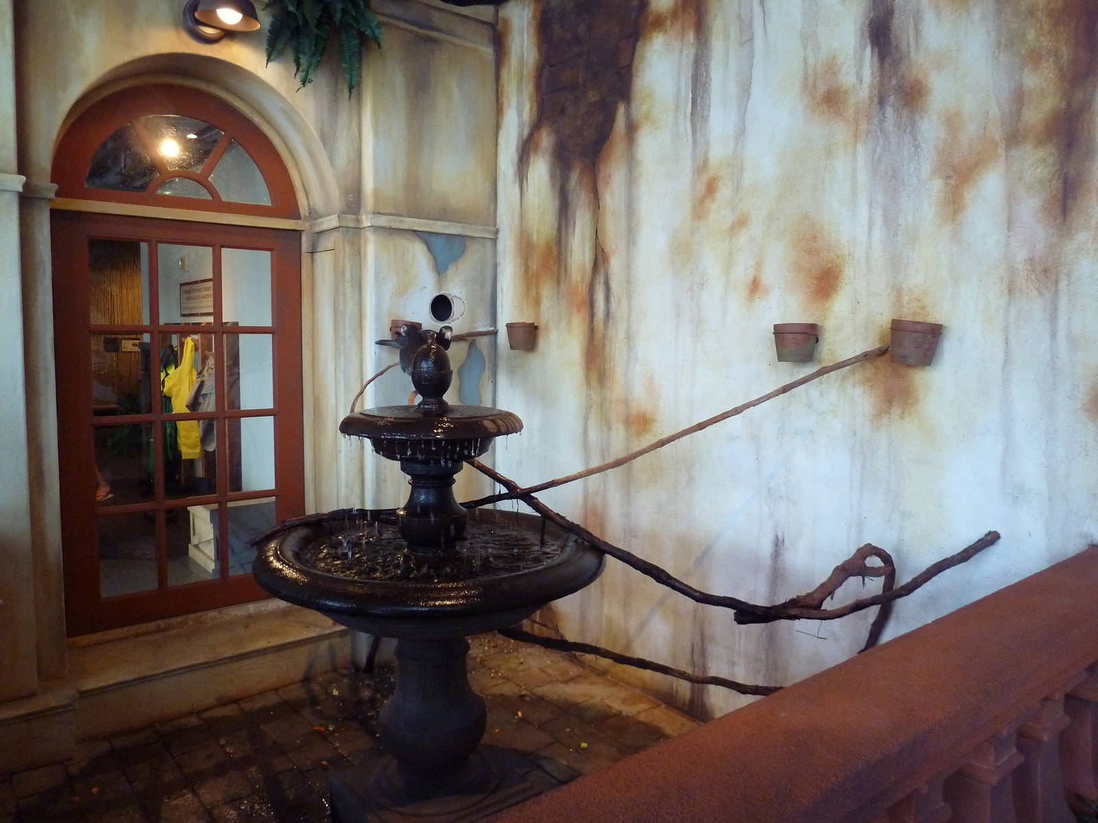 Madagascar Journey - Vasa Parrot Exhibit