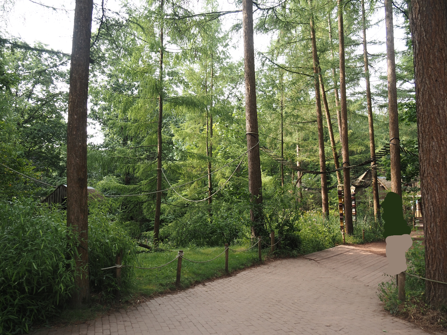 Madagascar lemur walk-through area, 2024-08-18