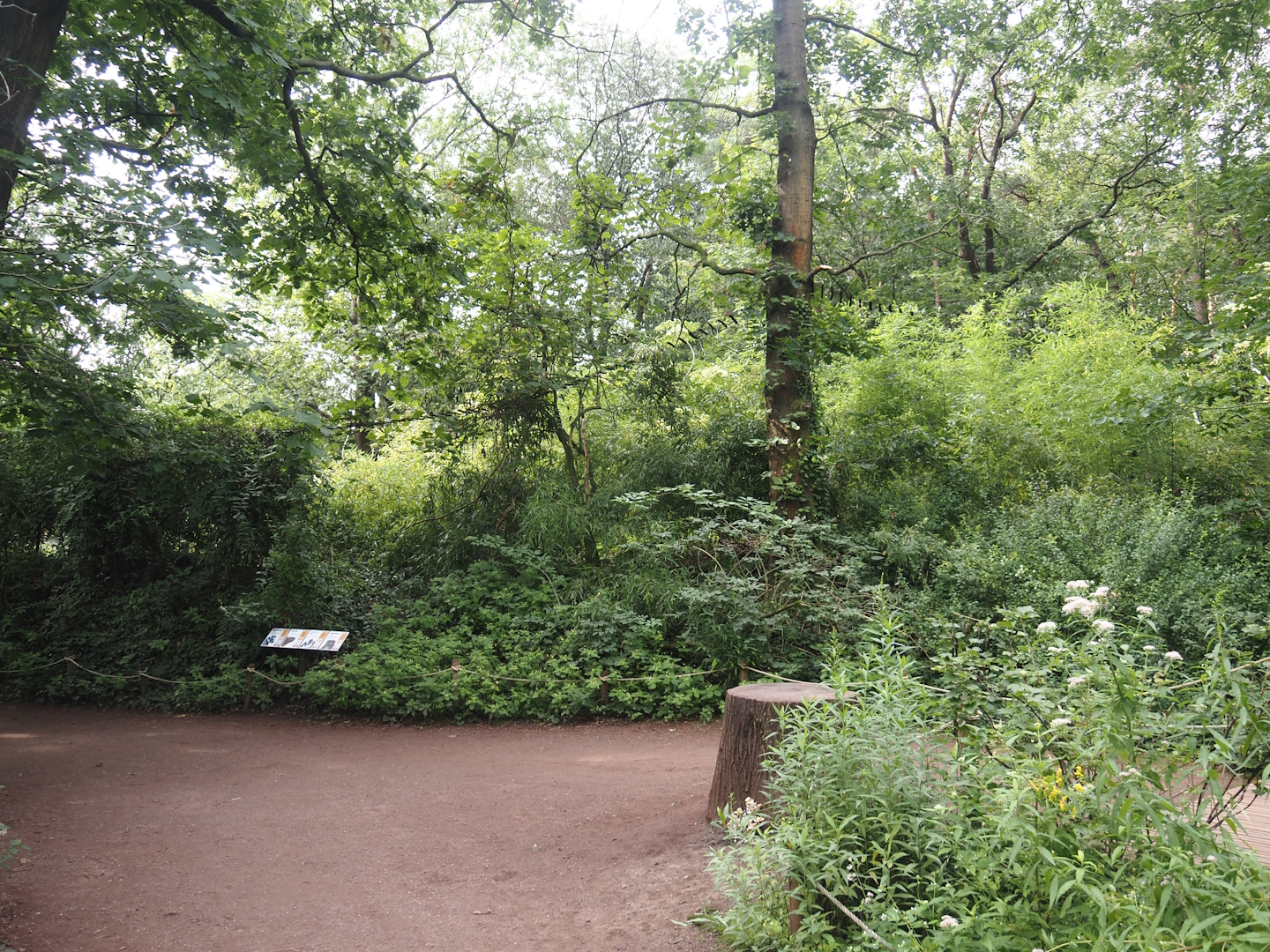 Madagascar lemur walk-through area, 2024-08-18