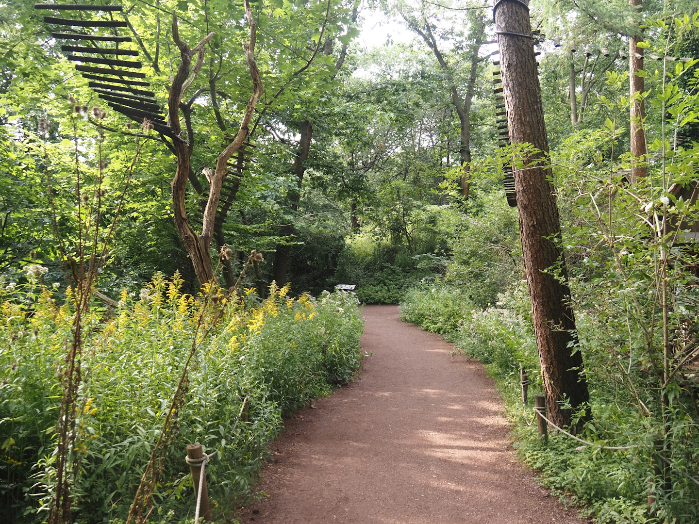 Madagascar lemur walk-through area, 2024-08-18