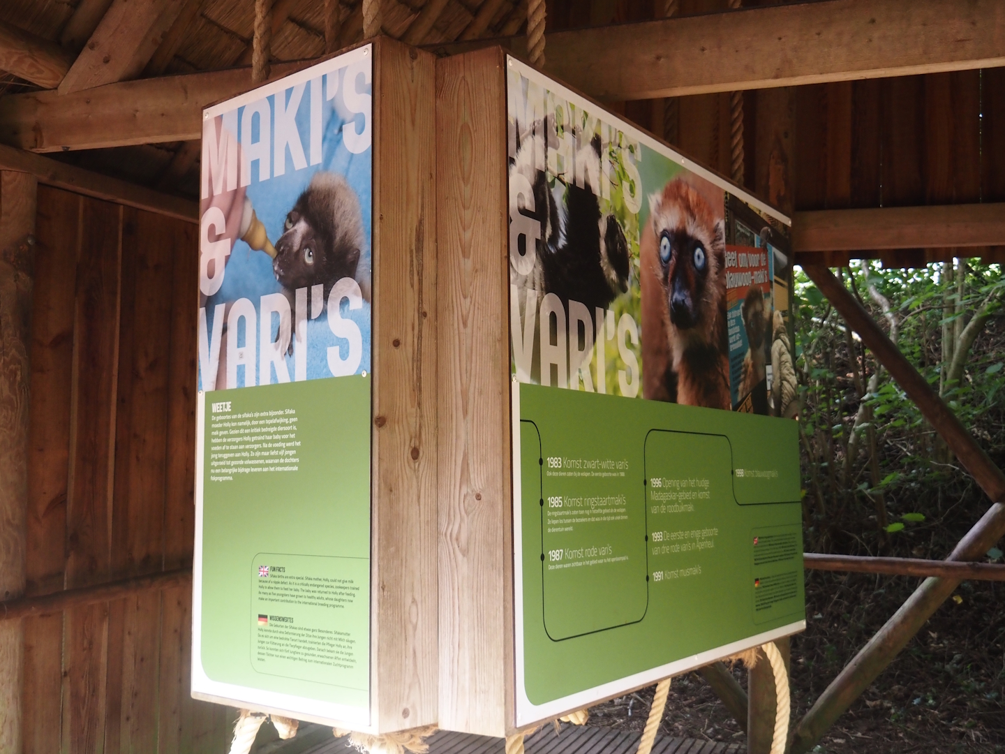 Madagascar lemur walk-through area - Educational materials and climbing ropes for lemurs, 2024-08-18