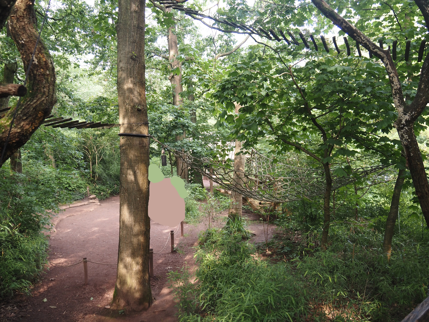 Madagascar lemur walk-through area - Feeding area, 2024-08-18