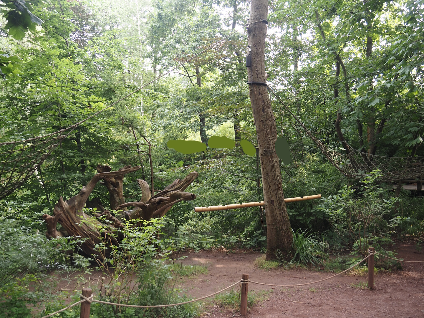 Madagascar lemur walk-through area - Feeding zone, 2024-08-18