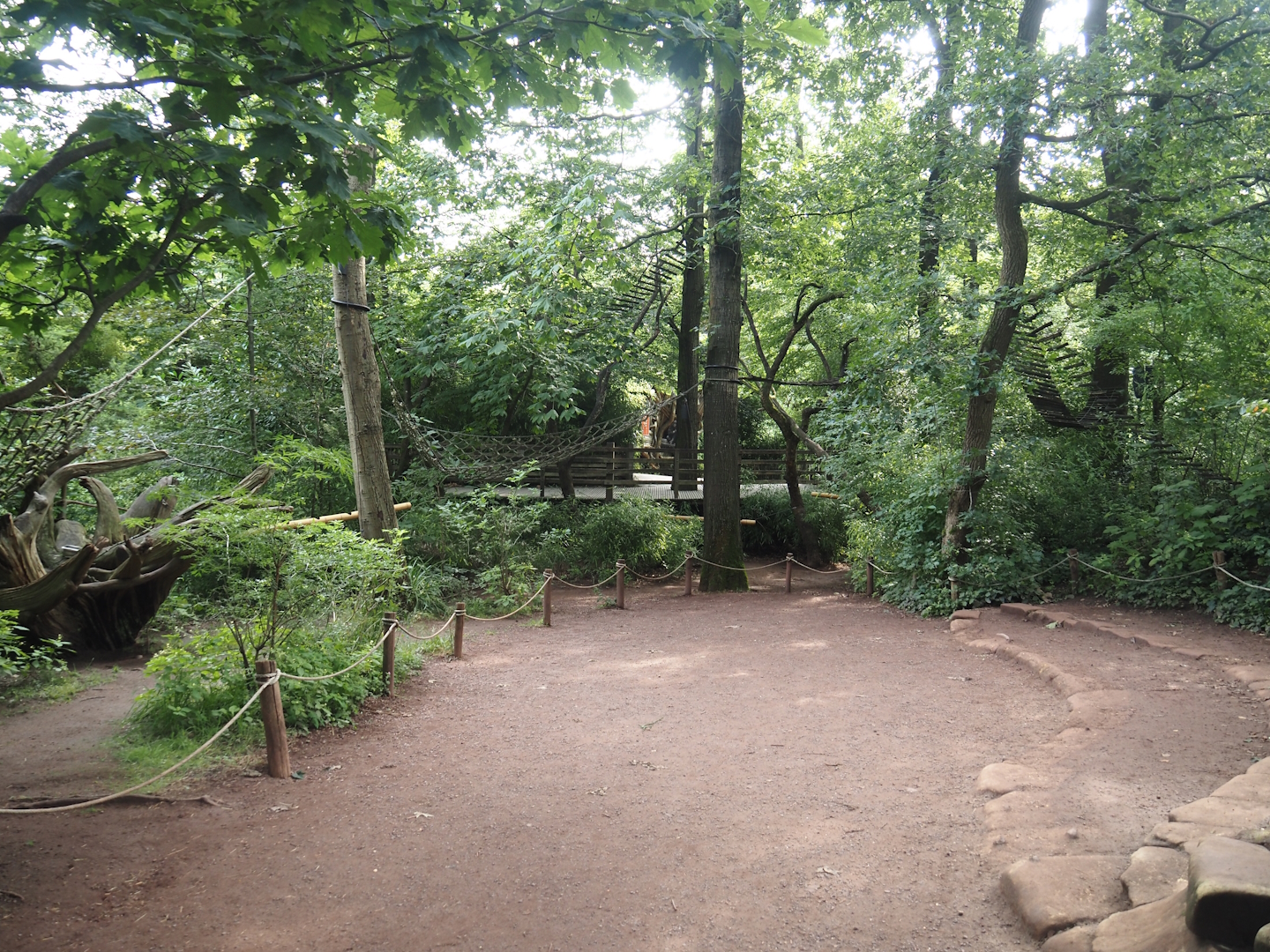 Madagascar lemur walk-through area - Feeding zone, 2024-08-18