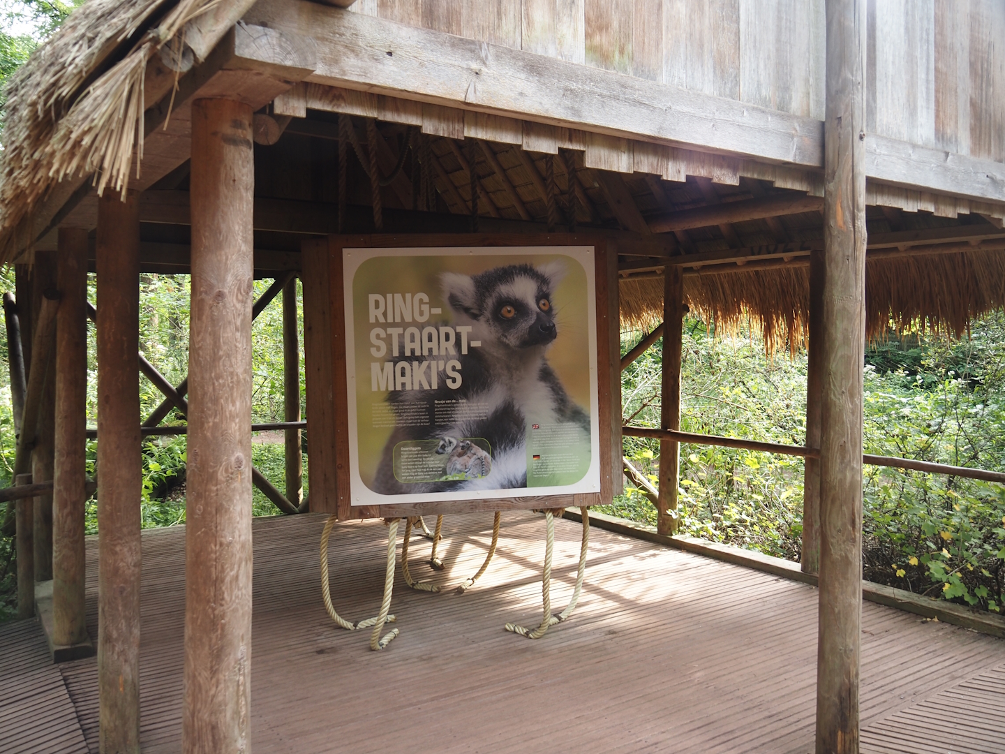 Madagascar lemur walk-through area - Hut with educational materials and climbing ropes for lemurs, 2024-08-18