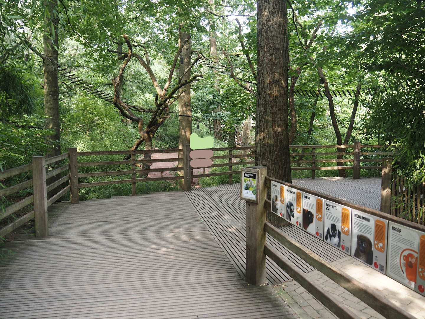 Madagascar lemur walk-through area - Viewing platform overlooking the feeding area, 2024-08-18
