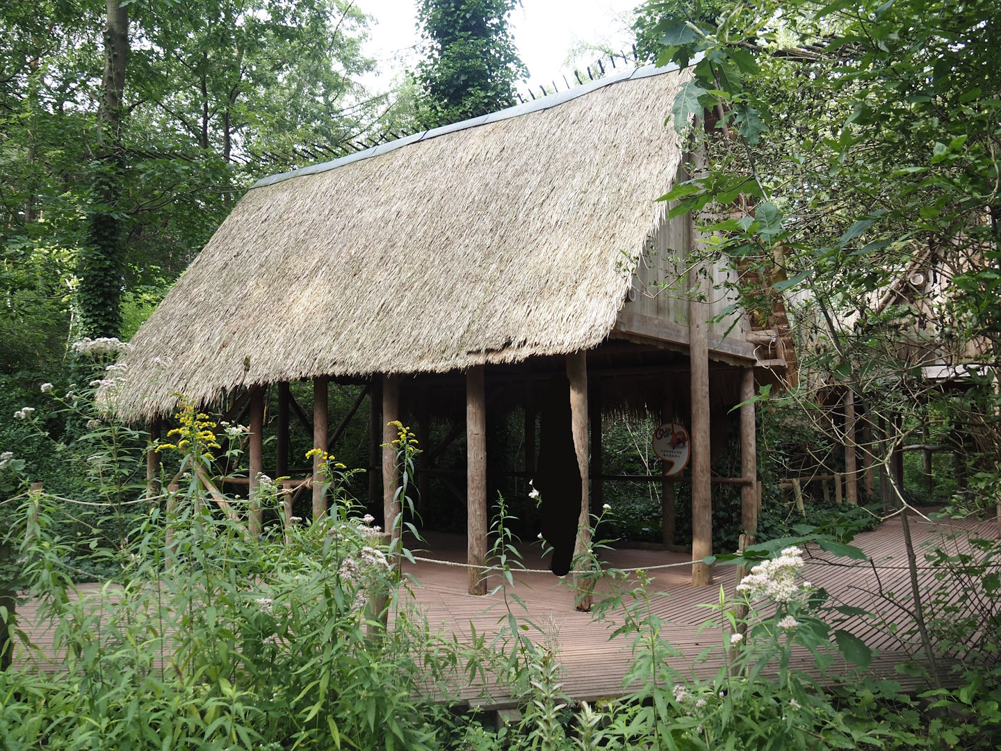 Madagascar lemur walk-through area - Village area with education huts and Blue-eyed black lemur exhibit, 2024-08-18