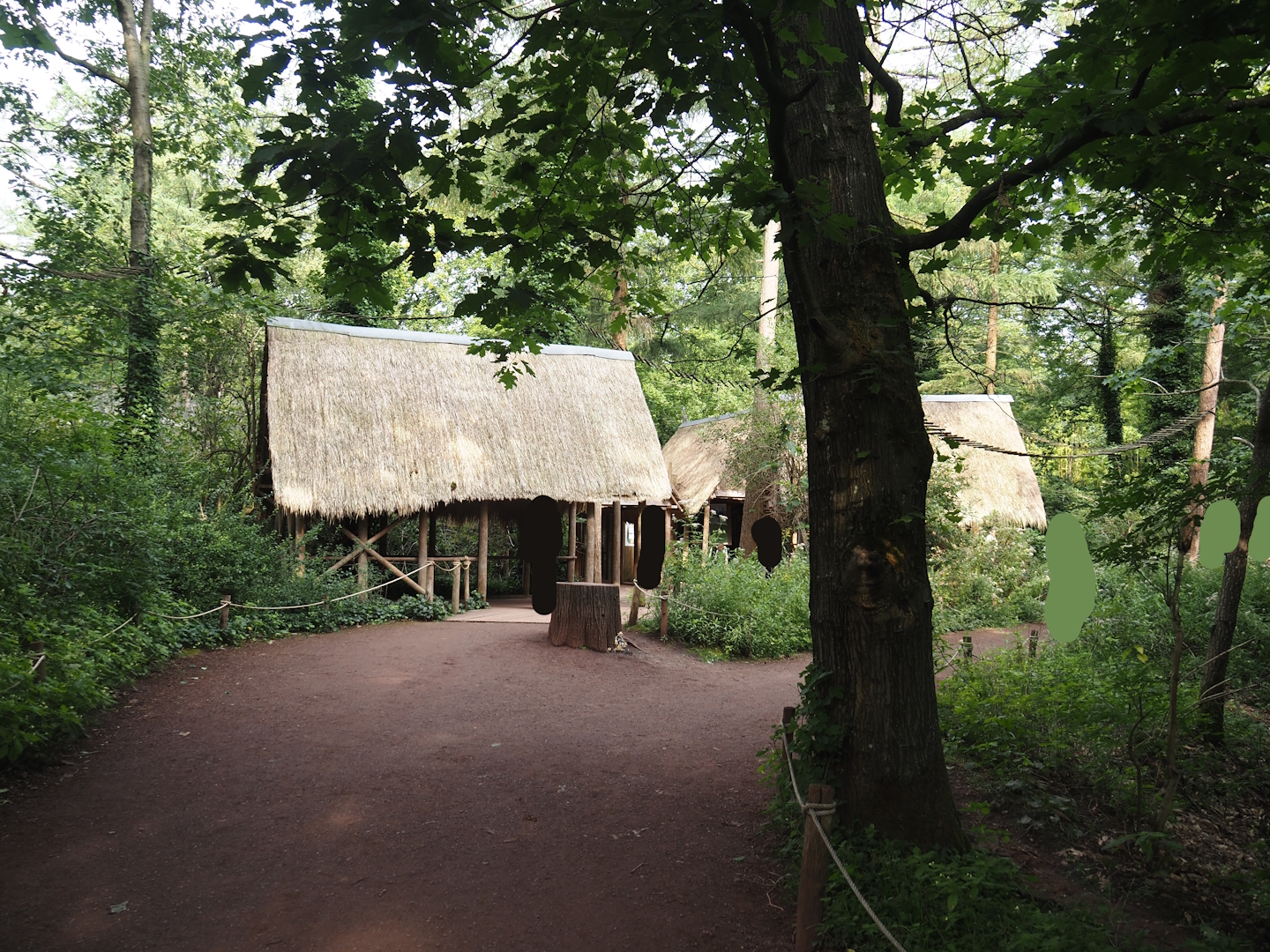 Madagascar lemur walk-through area - Village area with education huts and Blue-eyed black lemur exhibit, 2024-08-18