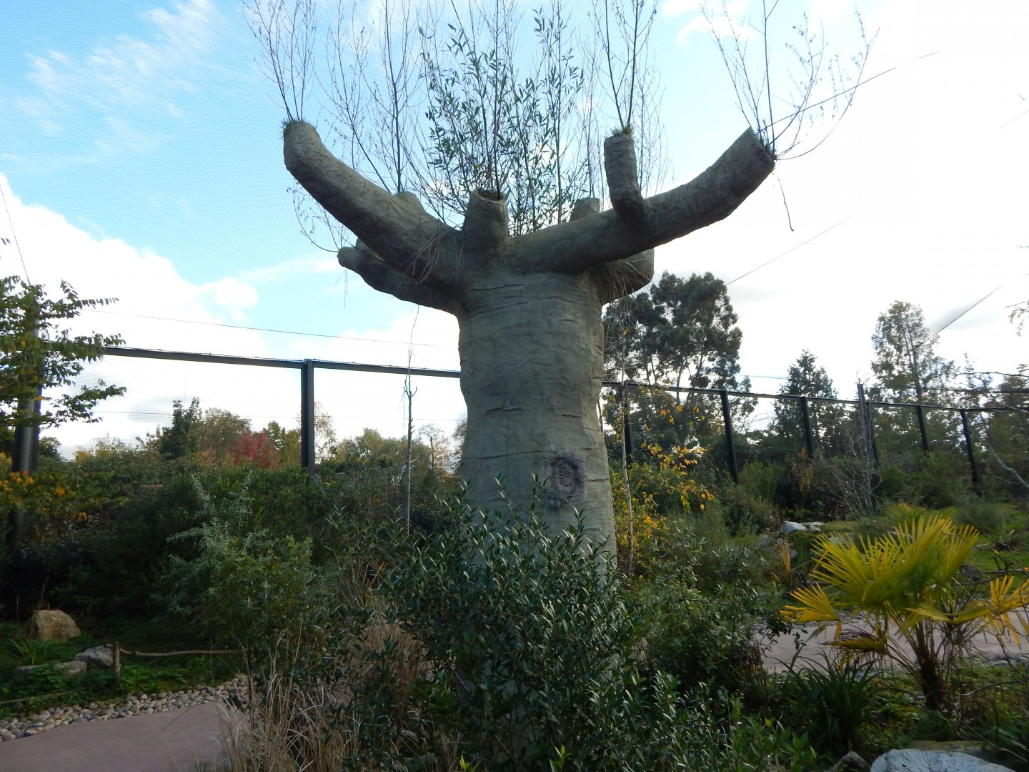 Madagascar - Lemur Walkthrough 081020