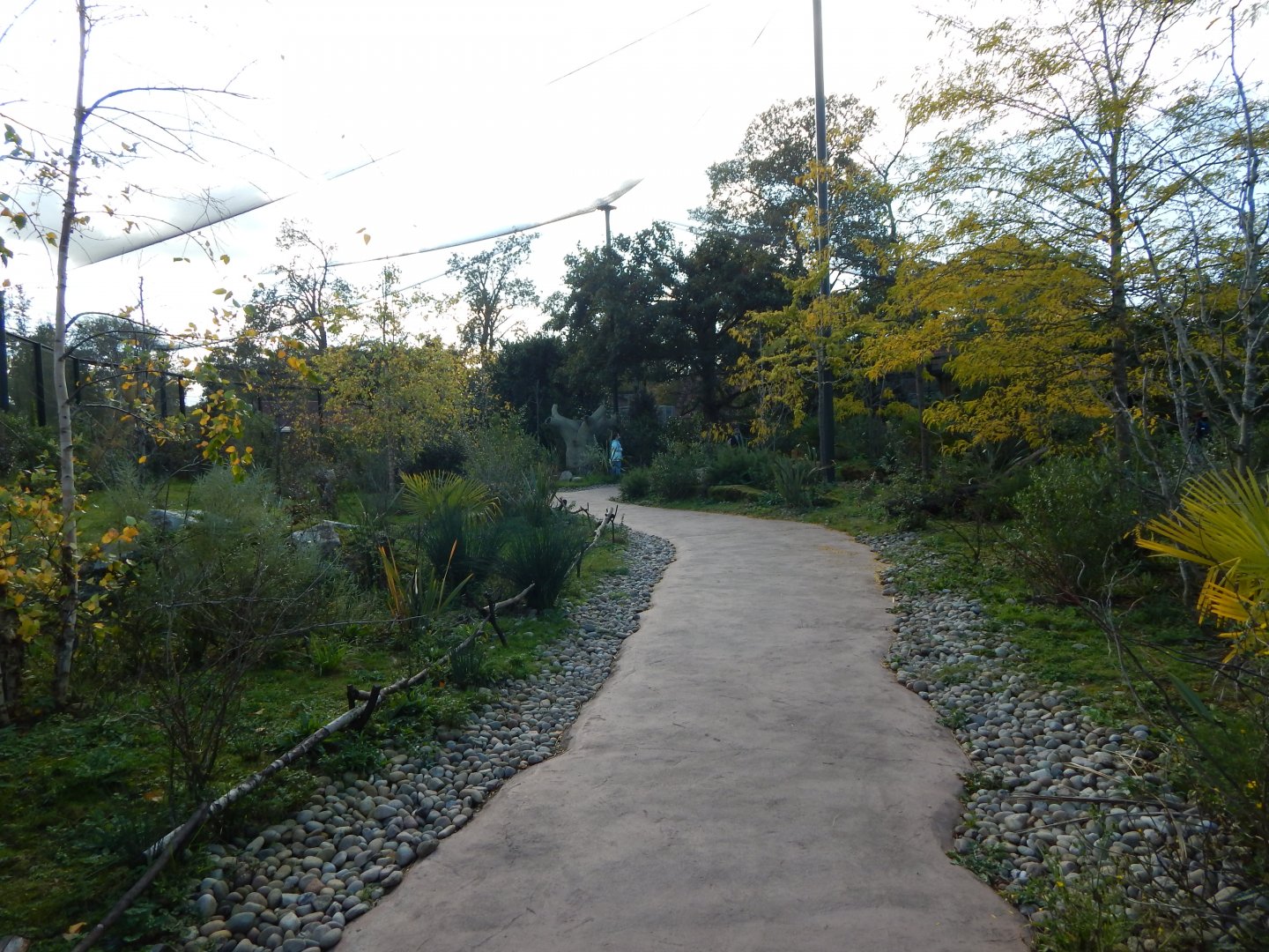 Madagascar - Lemur Walkthrough 081020