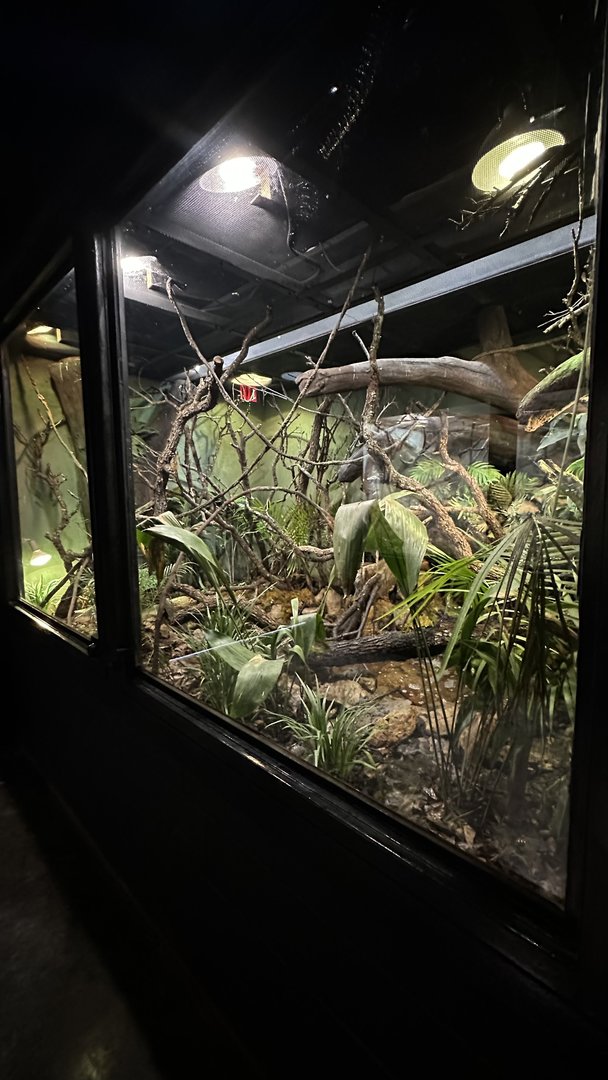Madagascar Lowland Rainforest Terrarium