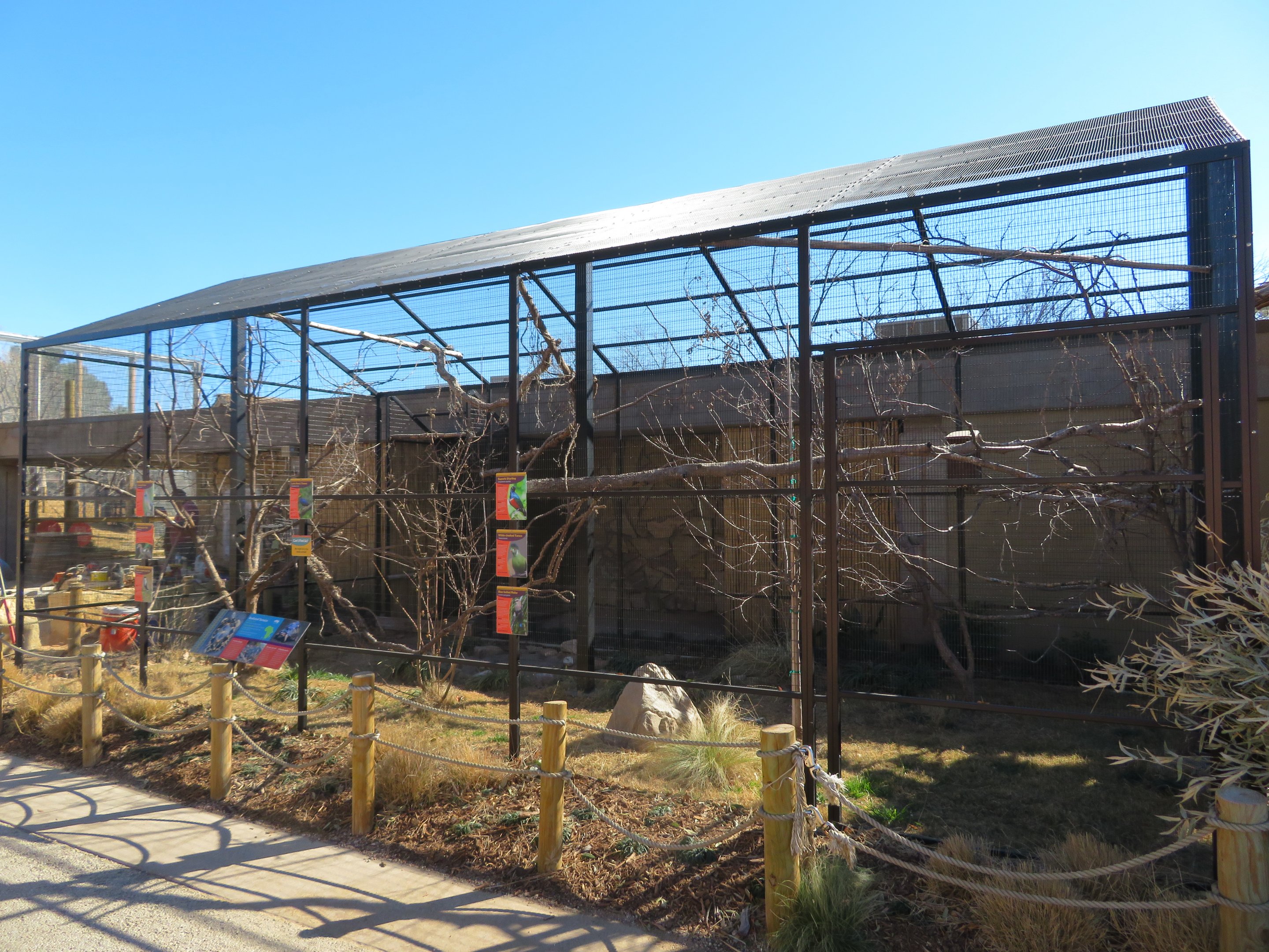 Madagascar Mixed Aviary (Outdoor) (8 species)