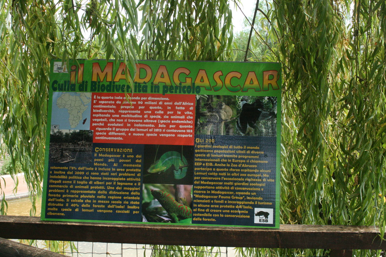 Madagascar panel