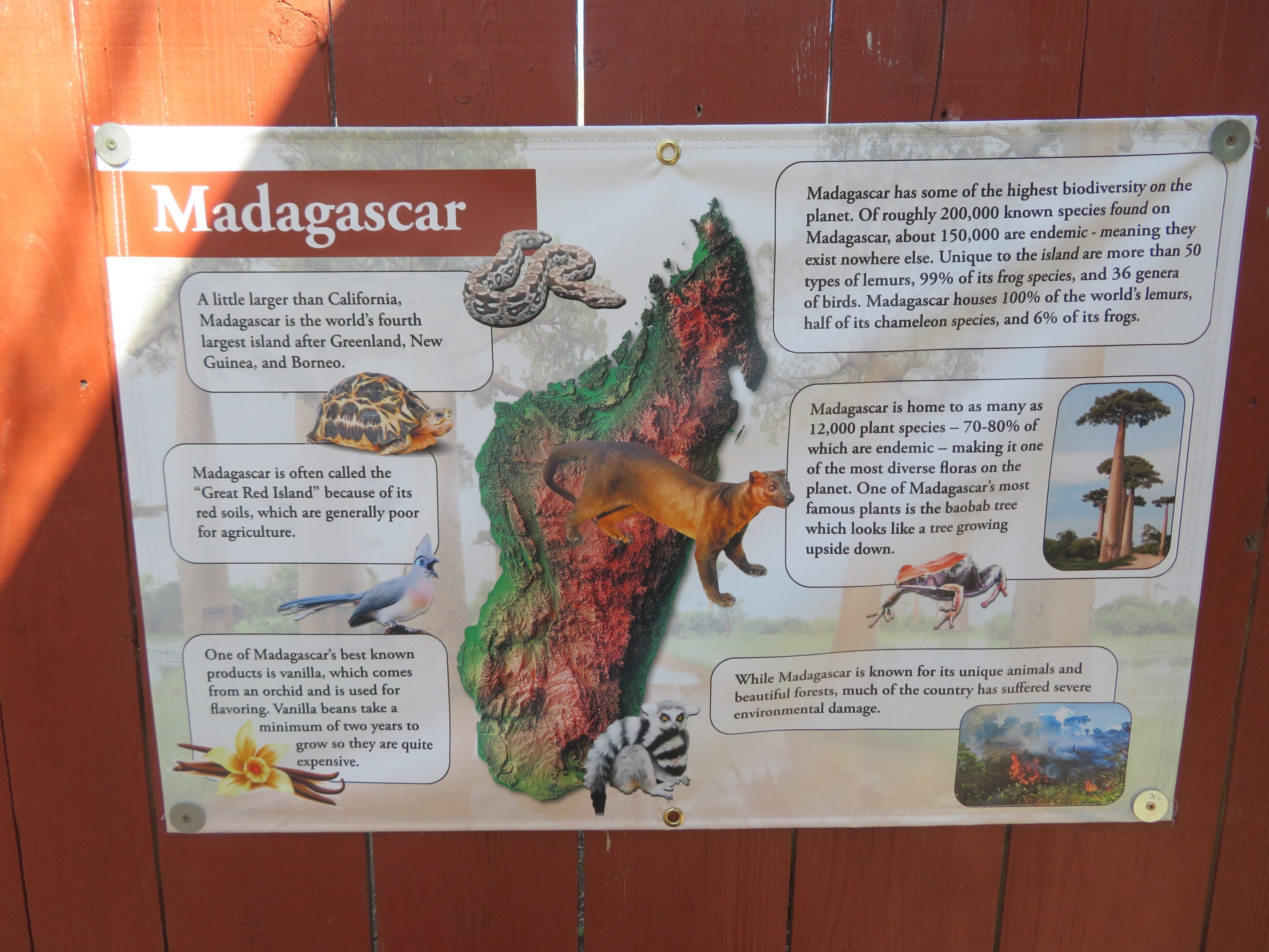 Madagascar Poster