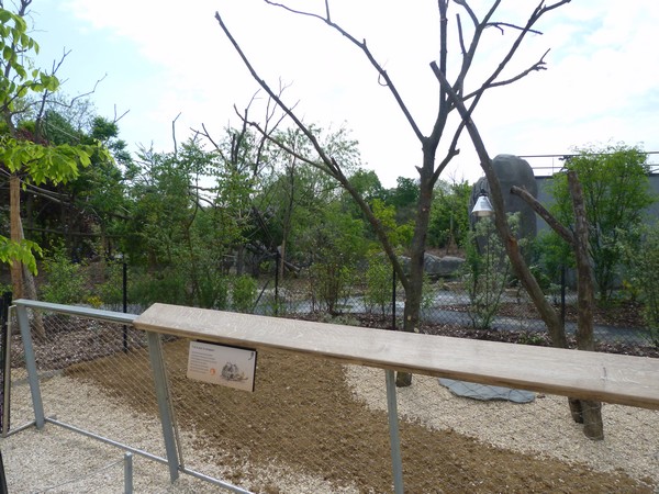 Madagascar: Radiated tortoise enclosure