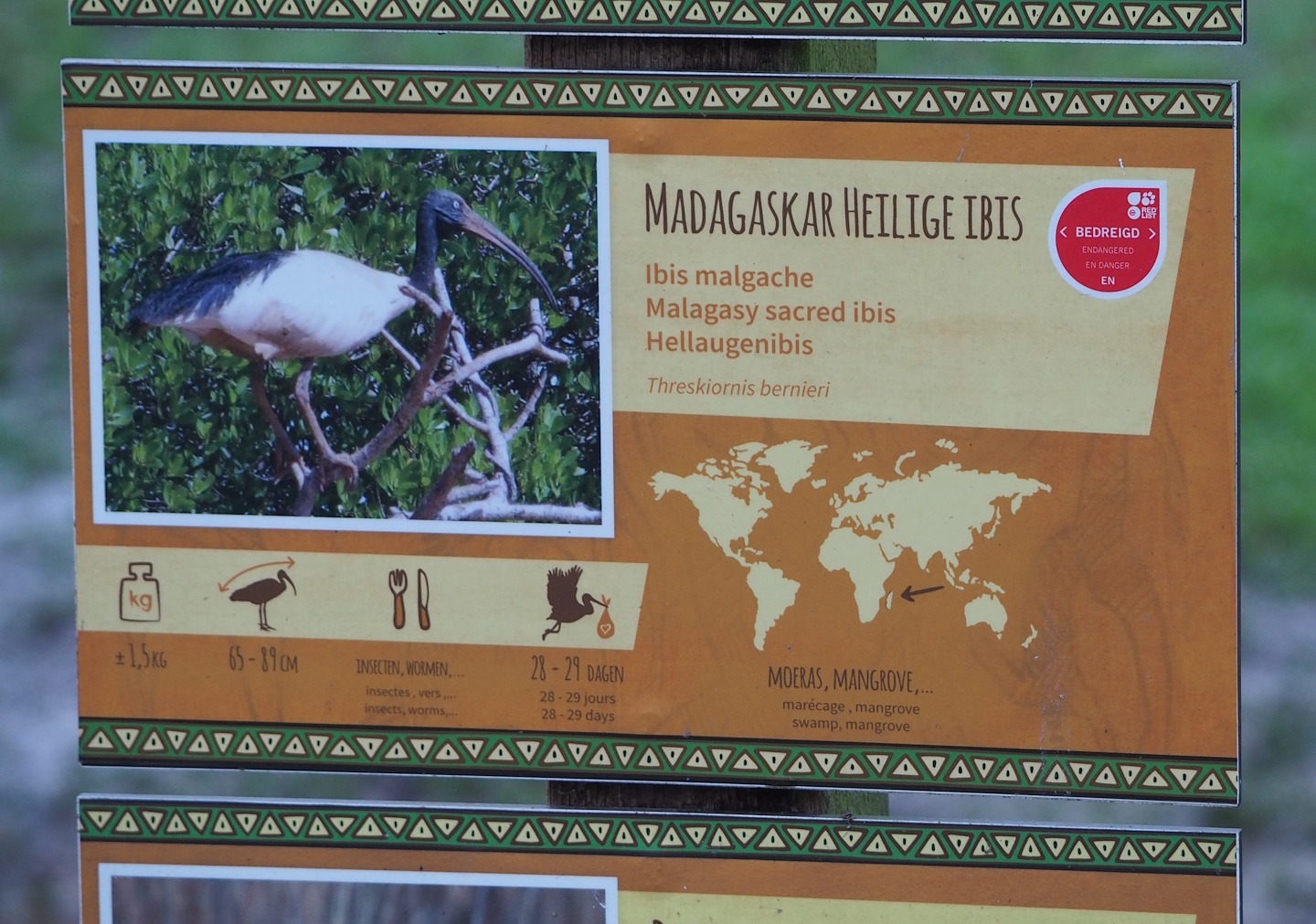 Madagascar sacred Ibis signage, 2024-01-01