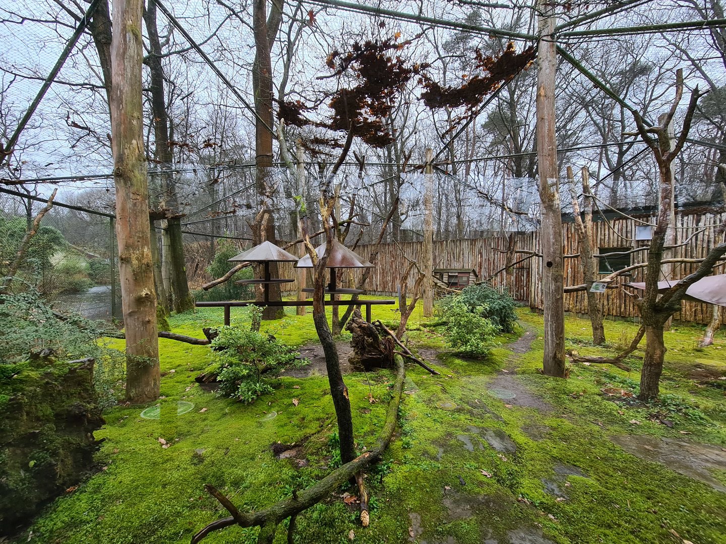 Madagascar - Separated exhibit