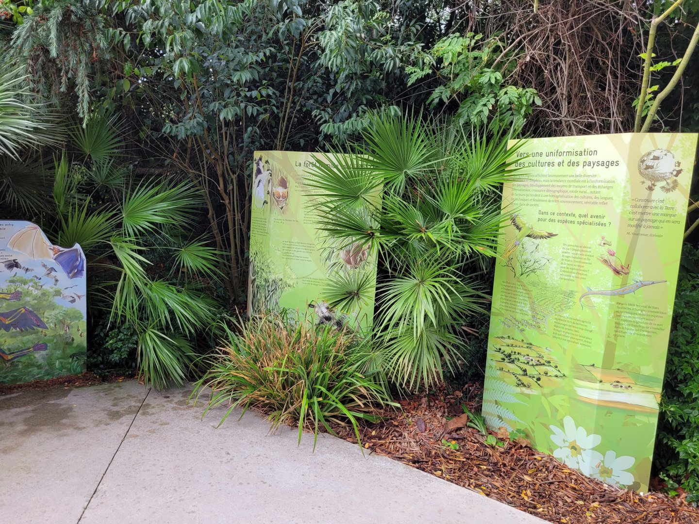 Madagascar signs -Parc Zoologique de Paris (2022)