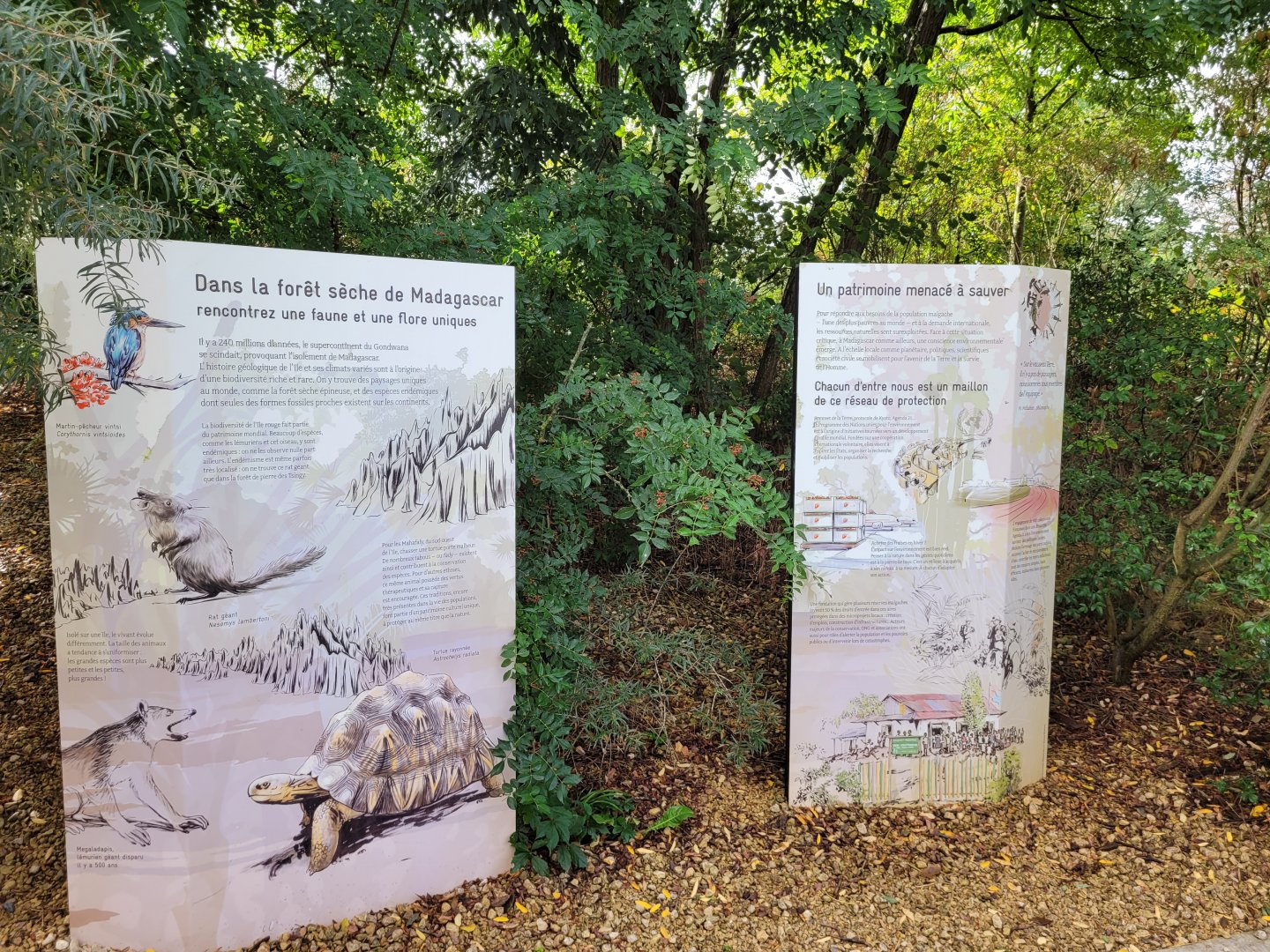 Madagascar signs -Parc Zoologique de Paris (2022)