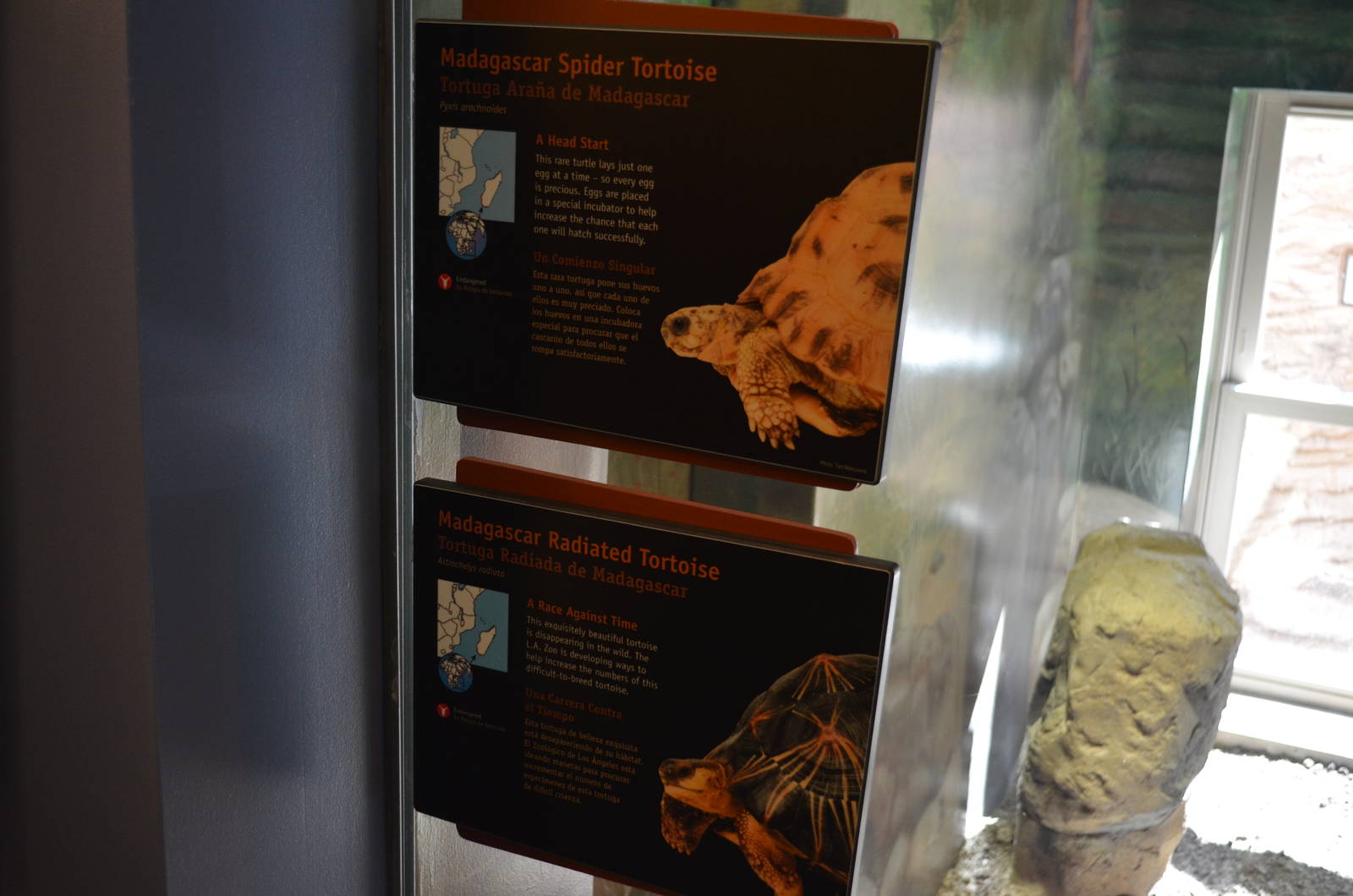 MADAGASCAR SPIDER/RADIATED TORTOISE SIGNAGE