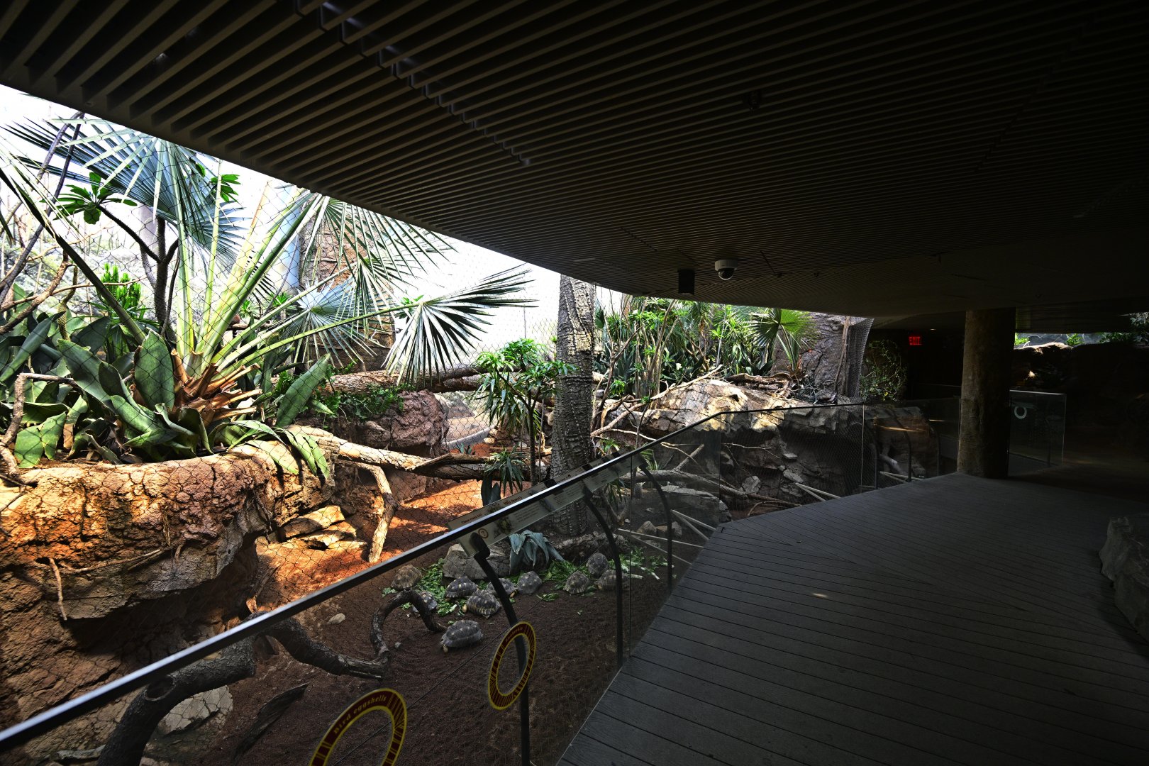 Madagascar! - Spiny Forest - Main Exhibit