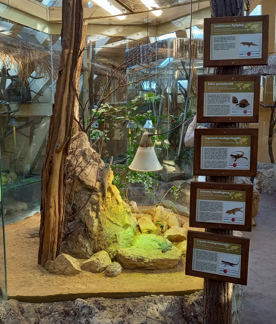 Madagascar terrarium with signs