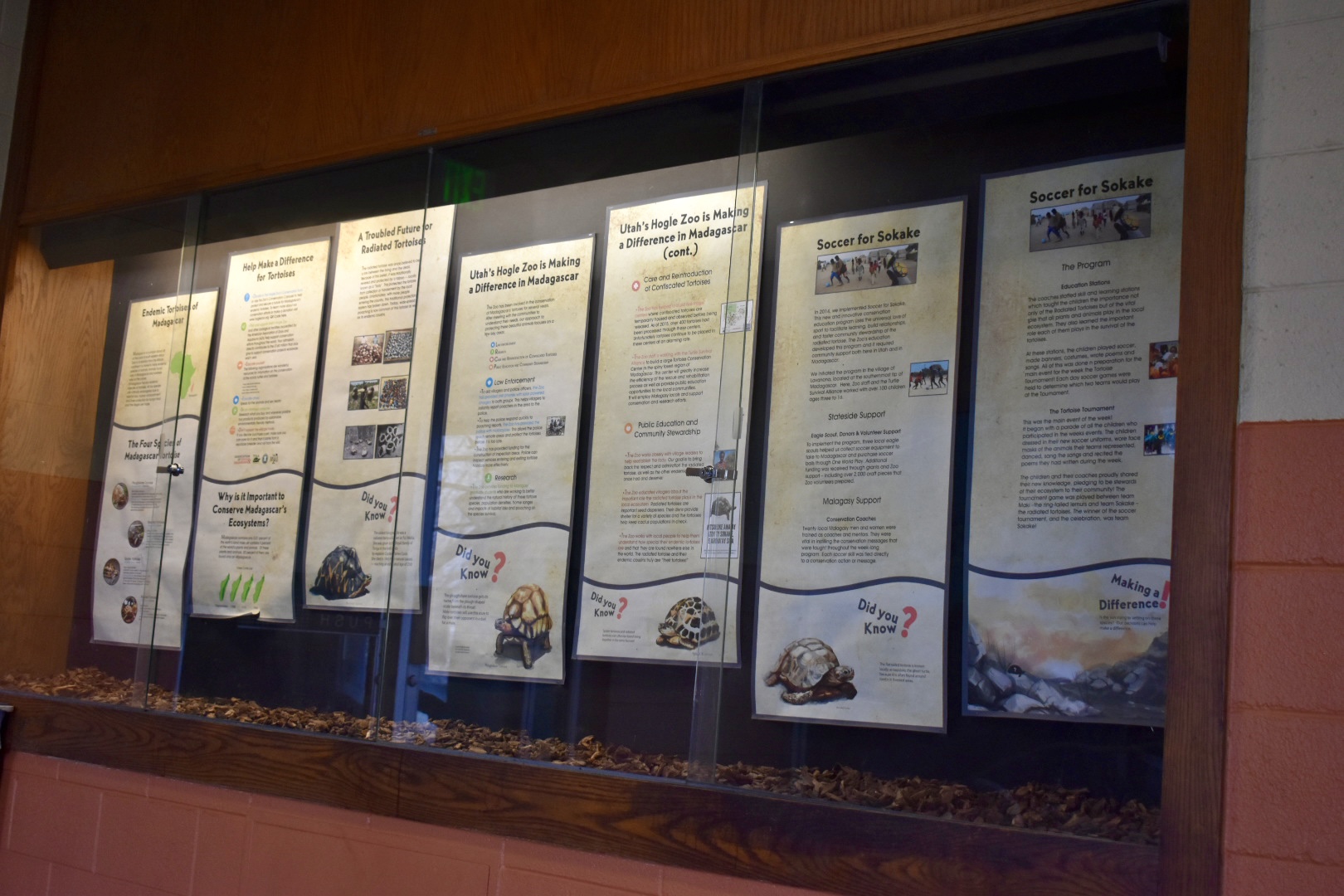 Madagascar Tortoise Conservation Display - Desert Zone - Small Animal Building