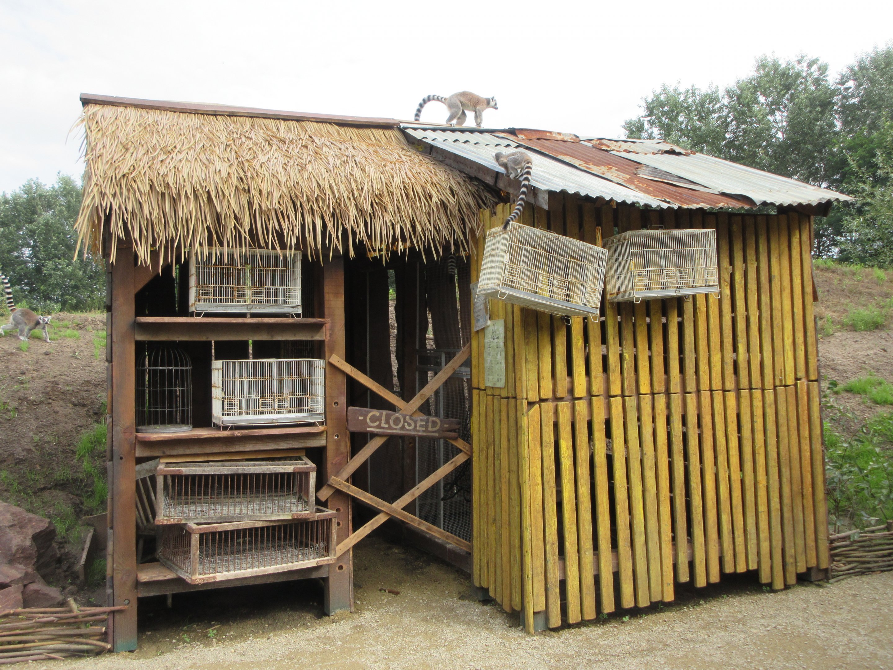 Madagascar Walk-through Exhibit