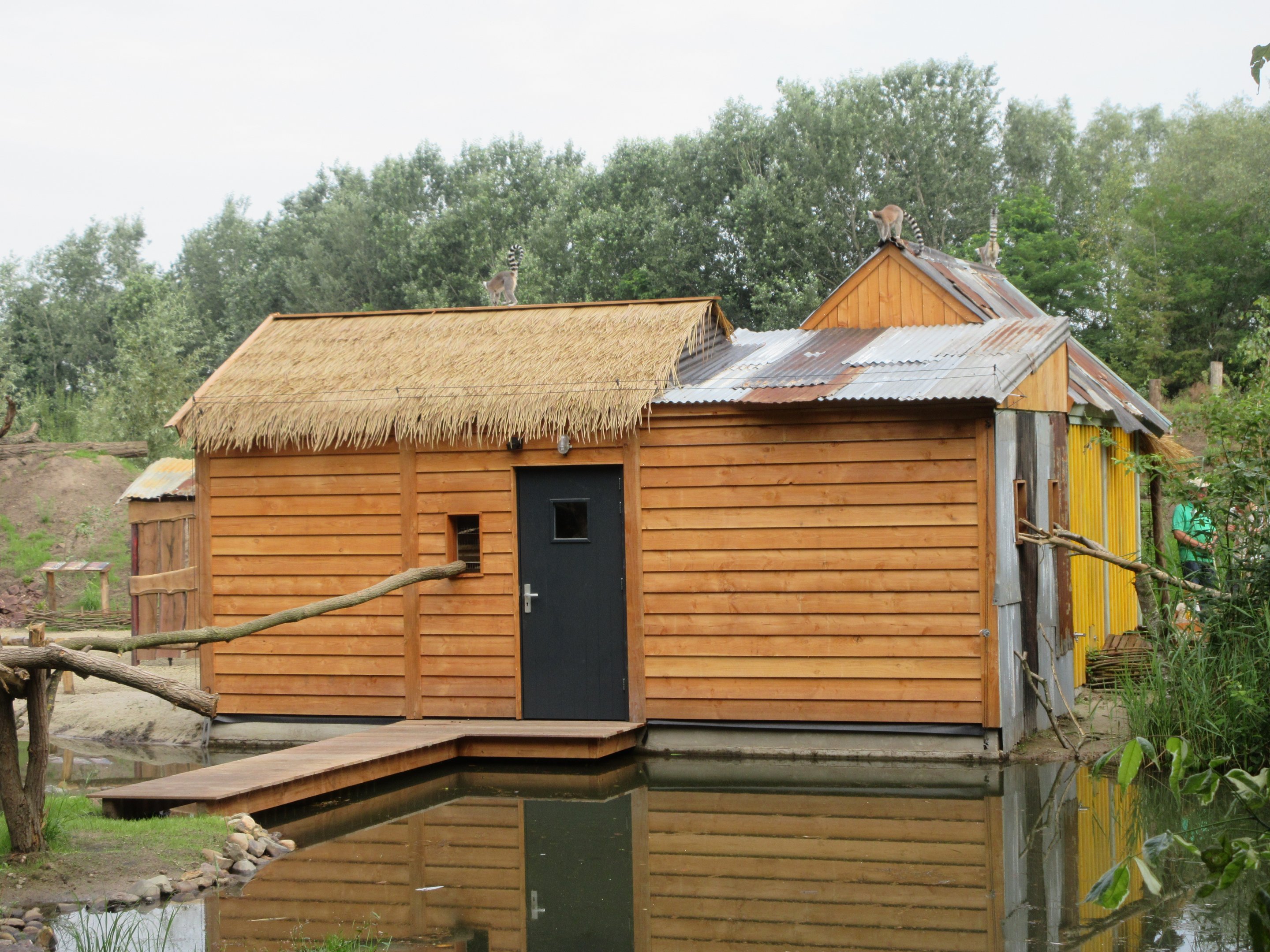 Madagascar Walk-through Exhibit