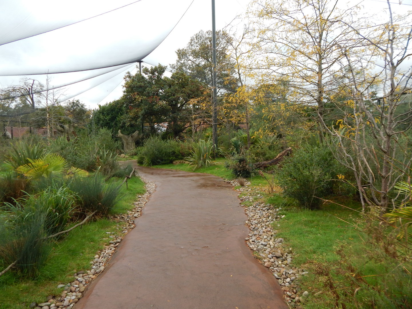 Madagascar Walkthrough 221022