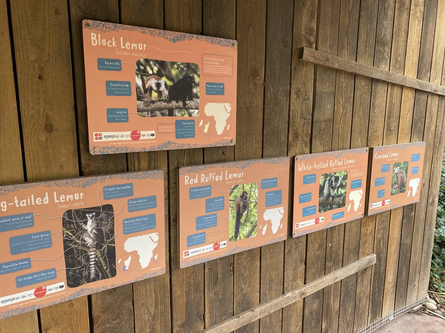 Madagascar Walkthrough inhabitants 221022