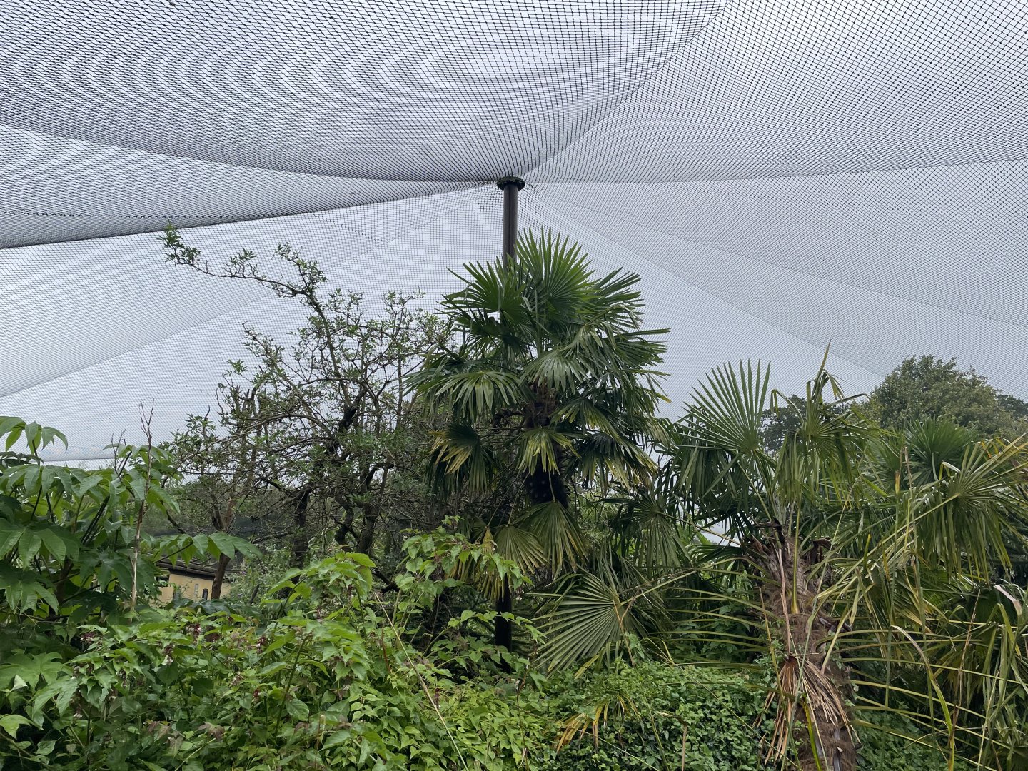 Madagascar Walkthrough