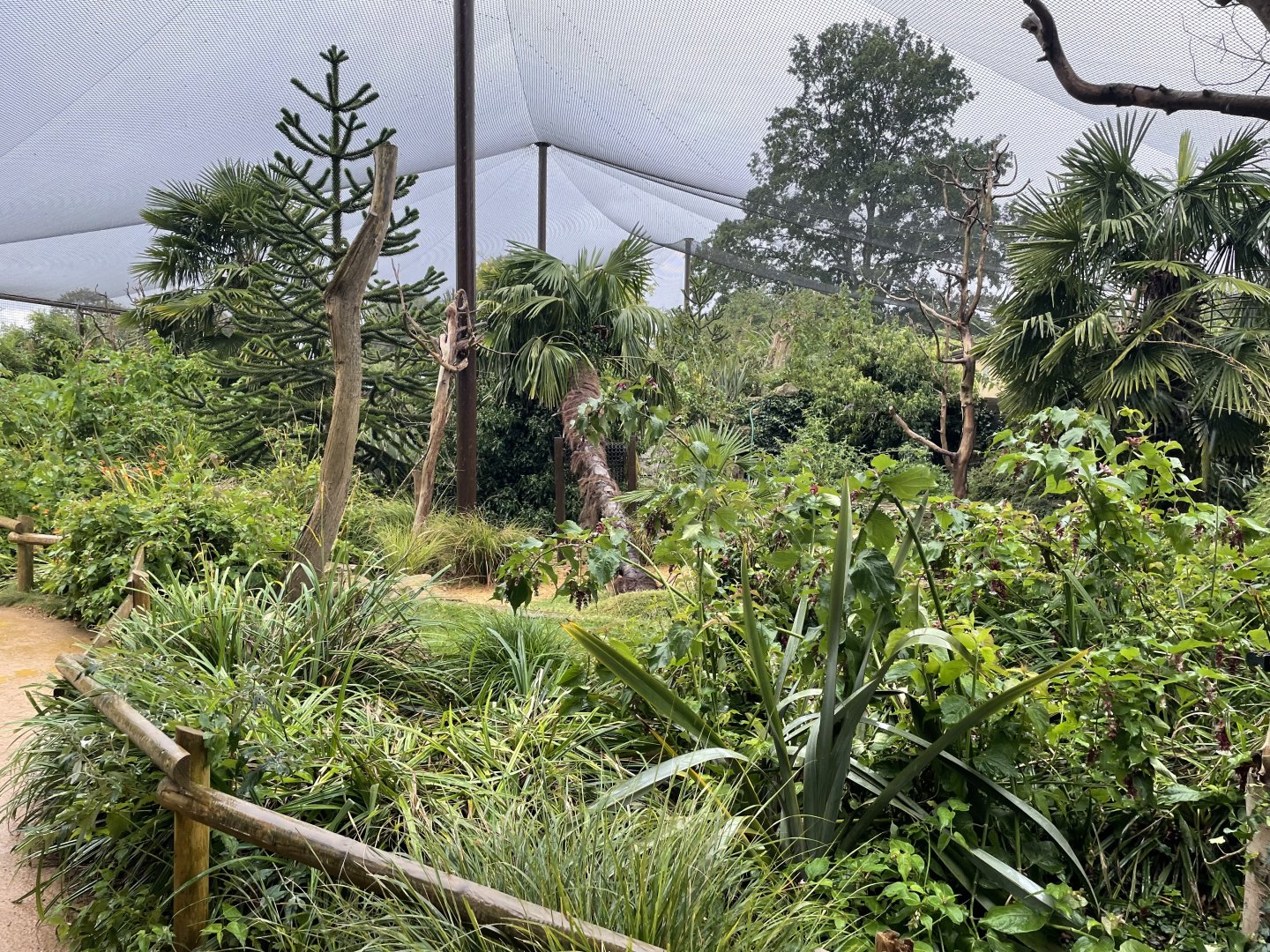 Madagascar Walkthrough