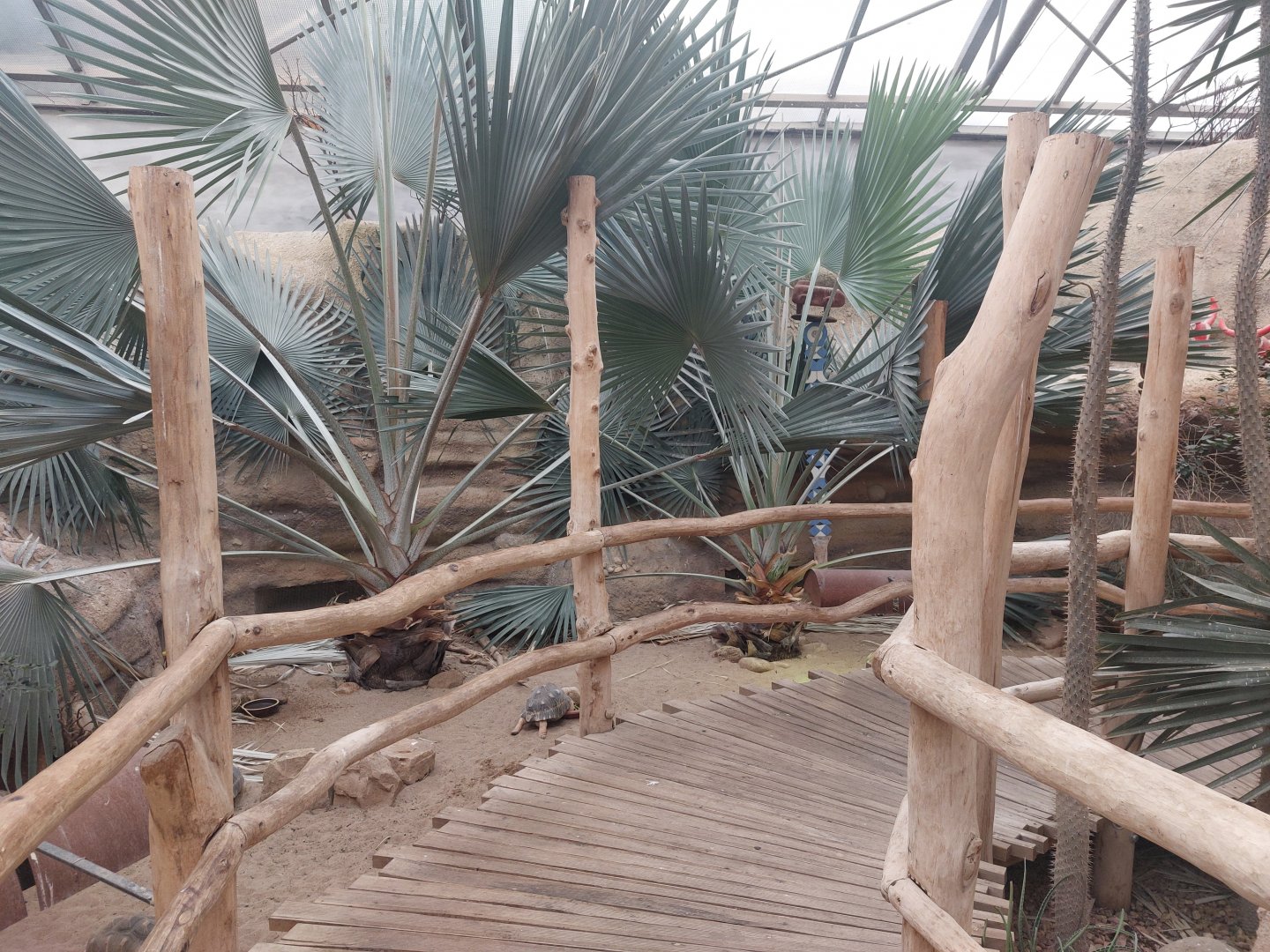 Madagascar walkthrough