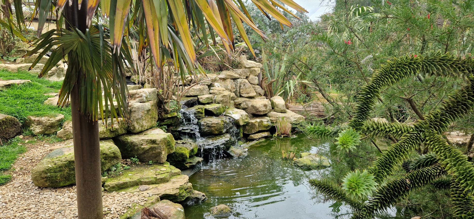 Madagascar Walktrough exhibit