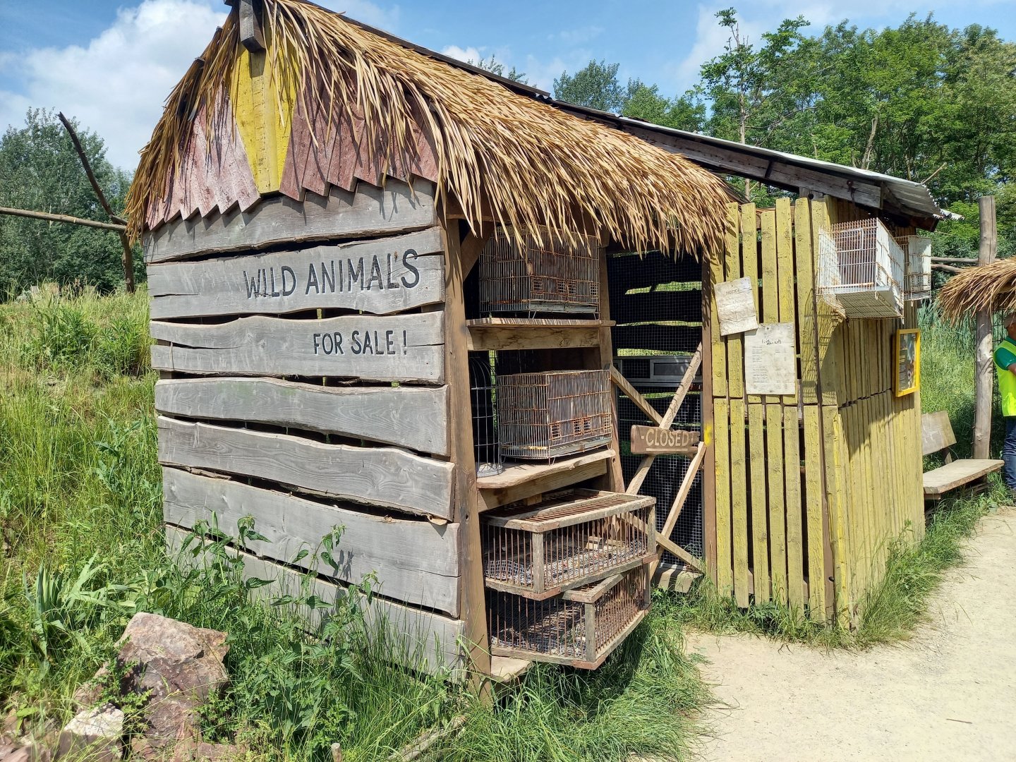 Madagascarian animal shop